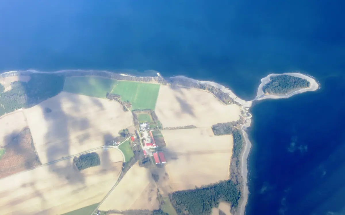 Flyfoto av øya Helgøya i Mjøsa med dyrket mark og en smal odde