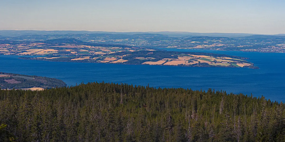 Flyfoto av Mjøsa med skogkledde høydedrag og gyllen jordbruksland på Toten