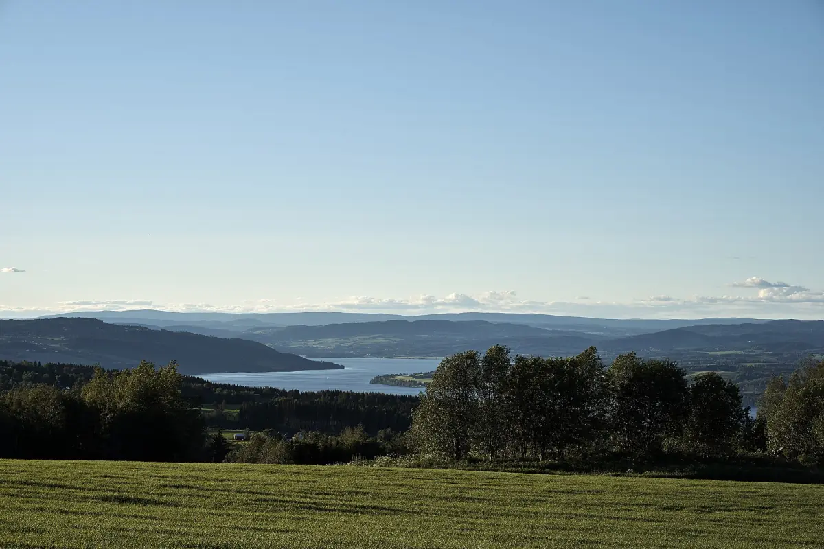Grønn åsside med trær og utsikt over Mjøsa under klar blå himmel