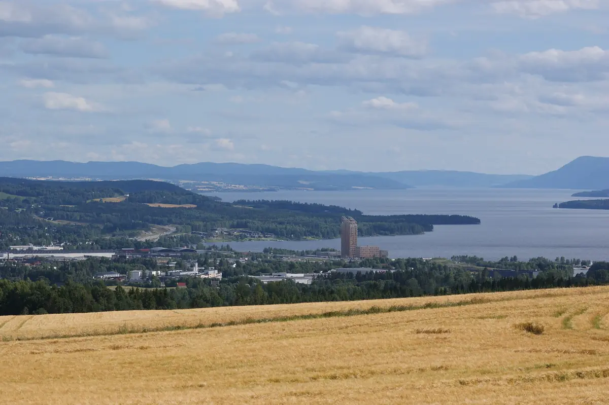 Utsikt over en gyllen åker mot Mjøsa med Mjøstårnet ved bredden